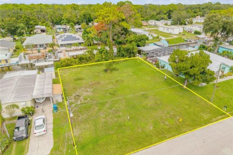 Land in Edgewater, Florida № 2135963 - photo 9