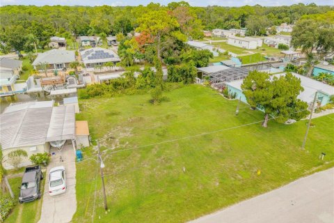 Land in Edgewater, Florida № 2135963 - photo 8