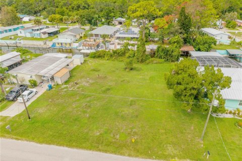 Land in Edgewater, Florida № 2135963 - photo 11