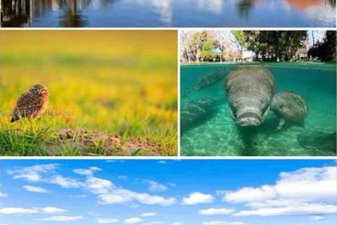 Terreno en venta en Cape Coral, Florida № 1748409 - foto 5