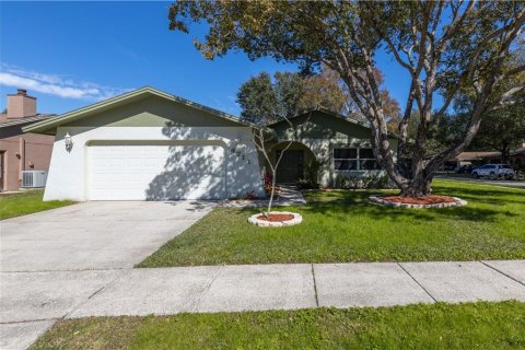 House in Tampa, Florida 4 bedrooms, 141.49 sq.m. № 2106075