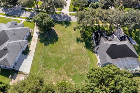 Land in Clermont, Florida № 2385833 - photo 25