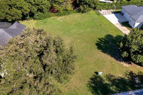 Land in Clermont, Florida № 2385833 - photo 26