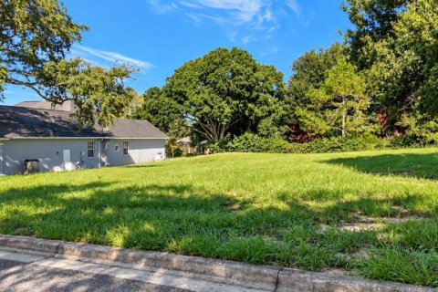 Land in Clermont, Florida № 2385833 - photo 9