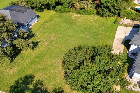 Land in Clermont, Florida № 2385833 - photo 2