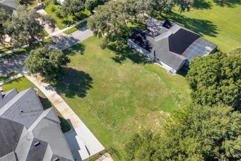 Land in Clermont, Florida № 2385833 - photo 19