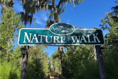 Land in Clermont, Florida № 2385833 - photo 16