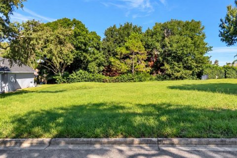 Land in Clermont, Florida № 2385833 - photo 7