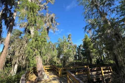 Land in Clermont, Florida № 2385833 - photo 15