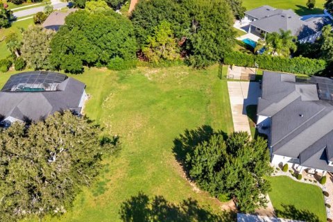 Land in Clermont, Florida № 2385833 - photo 8