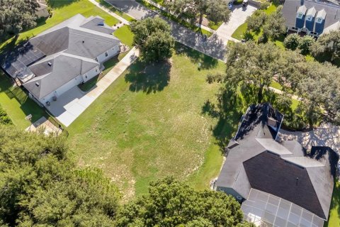 Land in Clermont, Florida № 2385833 - photo 18