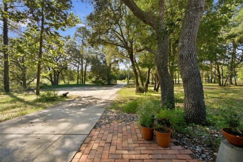 House in Lecanto, Florida 2 bedrooms, 72.46 sq.m. № 2400316 - photo 3
