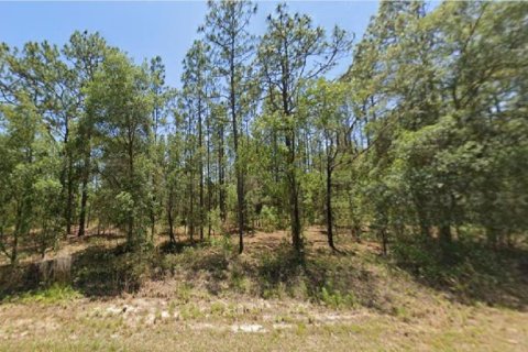 Land in Dunnellon, Florida № 2165208