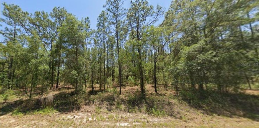 Land in Dunnellon, Florida № 2165208