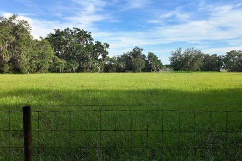 Terreno en venta en Umatilla, Florida № 1813595 - foto 23