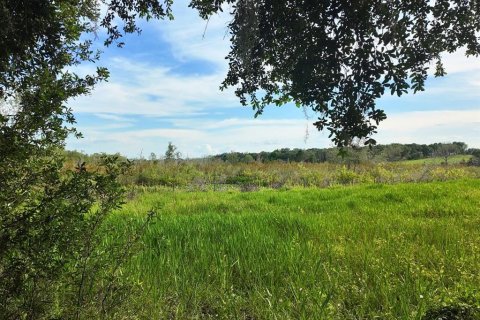 Terreno en venta en Umatilla, Florida № 1813595 - foto 27