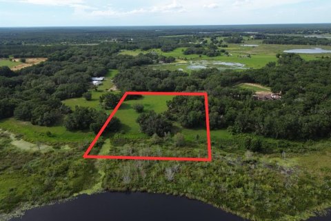 Terreno en venta en Umatilla, Florida № 1813595 - foto 10