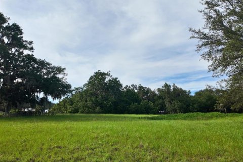 Terreno en venta en Umatilla, Florida № 1813595 - foto 24