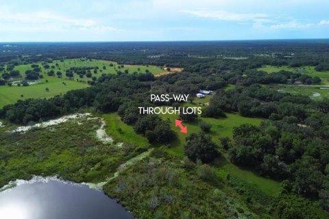 Terreno en venta en Umatilla, Florida № 1813595 - foto 3