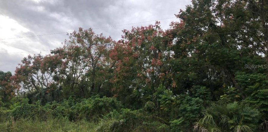 Terreno en Altamonte Springs, Florida № 1205785
