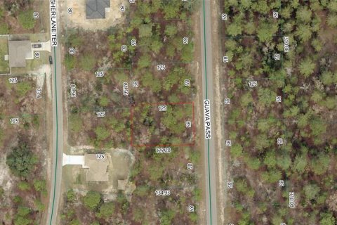 Land in Ocklawaha, Florida № 2214425