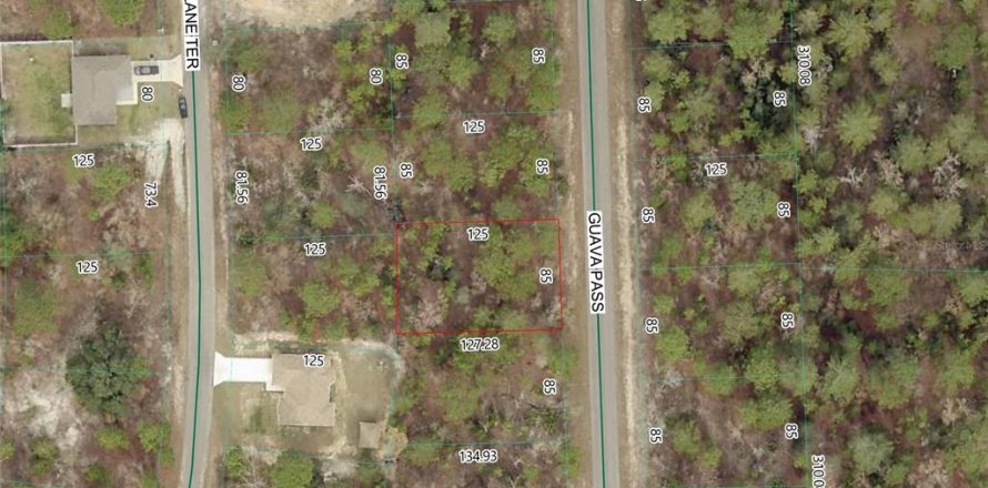 Land in Ocklawaha, Florida № 2214425
