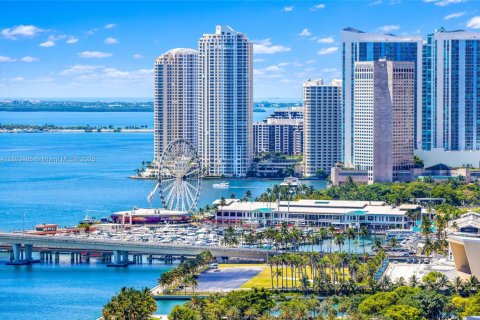 Studio in the Condo in Miami, Florida  № 2021114