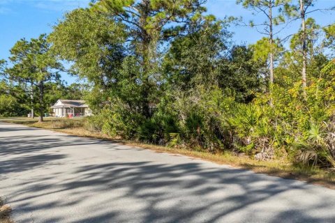 Terrain à vendre à Punta Gorda, Floride № 2233898 - photo 6