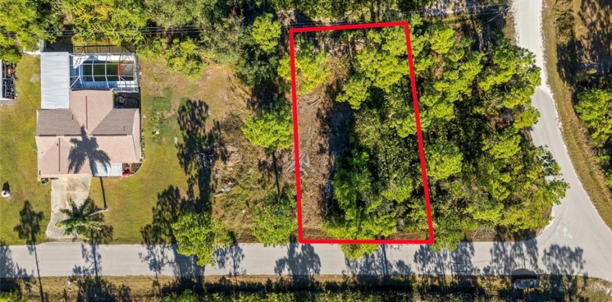 Terrain à Punta Gorda, Floride № 2233898