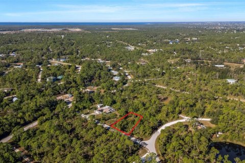 Terrain à vendre à Punta Gorda, Floride № 2233898 - photo 5