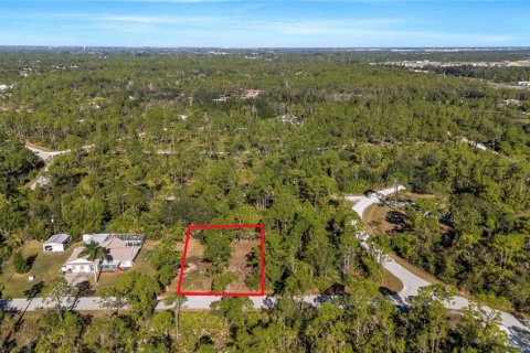 Terrain à vendre à Punta Gorda, Floride № 2233898 - photo 3