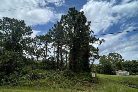 Land in Orlando, Florida № 1792234 - photo 5