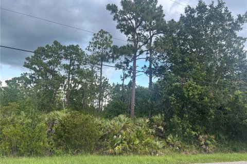 Land in Orlando, Florida № 1792234 - photo 1
