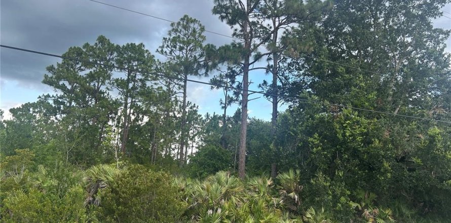 Land in Orlando, Florida № 1792234