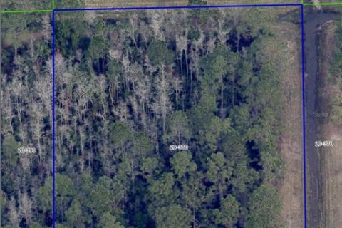 Land in Orlando, Florida № 1792234 - photo 2