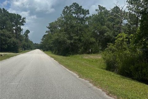 Land in Orlando, Florida № 1792234 - photo 6