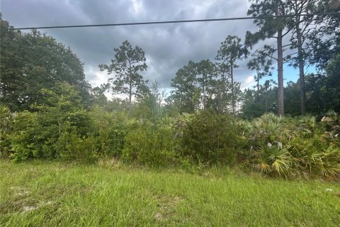Land in Orlando, Florida № 1792234 - photo 4