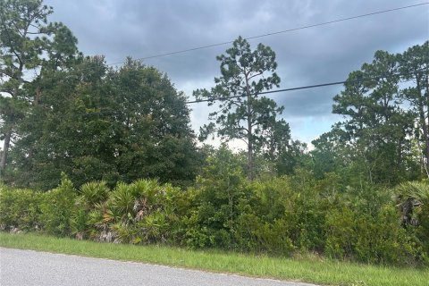 Land in Orlando, Florida № 1792234 - photo 3