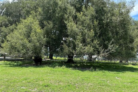 Land in Webster, Florida № 2272891 - photo 19