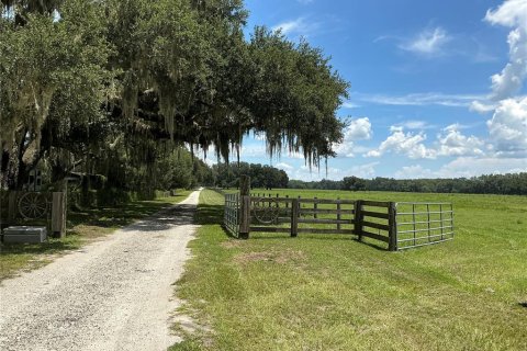 Land in Webster, Florida № 2272891 - photo 20