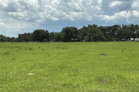 Land in Webster, Florida № 2272891 - photo 5
