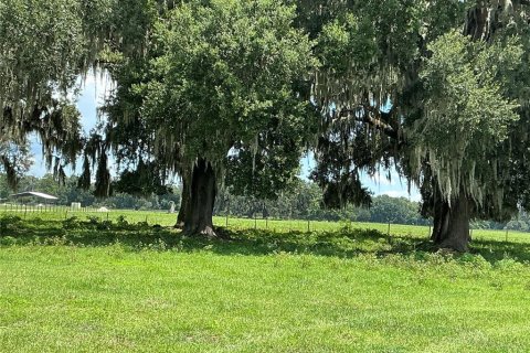 Land in Webster, Florida № 2272891 - photo 4