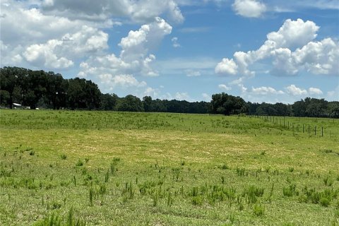 Land in Webster, Florida № 2272891 - photo 6