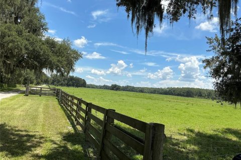 Land in Webster, Florida № 2272891 - photo 25