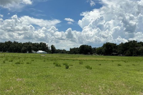 Land in Webster, Florida № 2272891 - photo 17