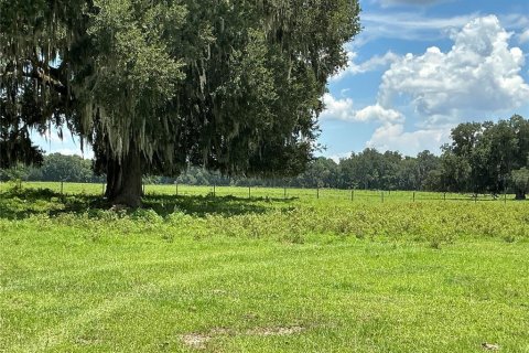 Land in Webster, Florida № 2272891 - photo 3