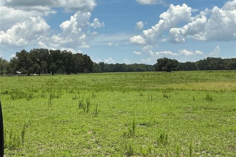 Land in Webster, Florida № 2272891 - photo 11