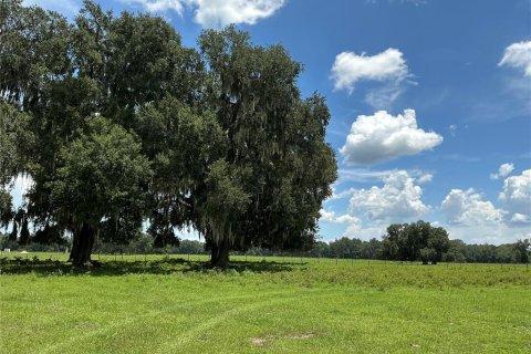 Land in Webster, Florida № 2272891 - photo 2