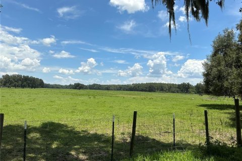 Land in Webster, Florida № 2272891 - photo 29
