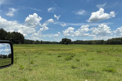 Land in Webster, Florida № 2272891 - photo 9